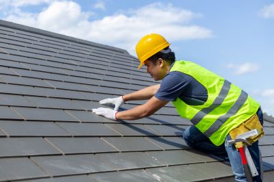 Professional Roofing Consultation